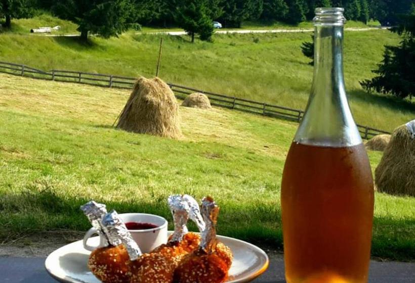 بنسيون Cabana Poiana Secuilor