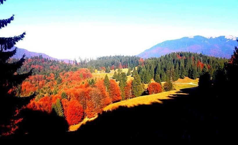 بنسيون Cabana Poiana Secuilor