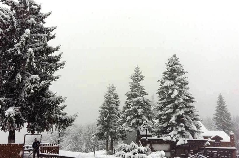 بنسيون Cabana Poiana Secuilor