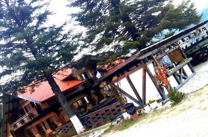 بنسيون Cabana Poiana Secuilor