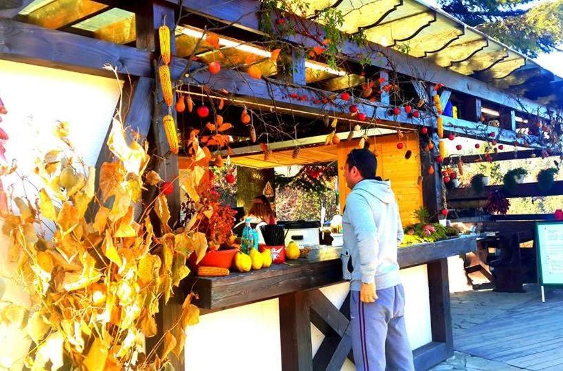 بنسيون Cabana Poiana Secuilor