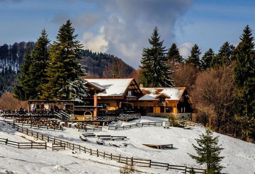 بنسيون Cabana Poiana Secuilor