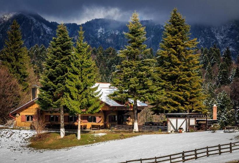 بنسيون Cabana Poiana Secuilor