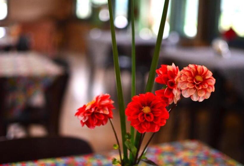 ペンション Cafezal Em Flor Turismo E Cafés Especiais