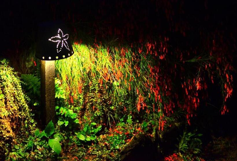 Pension Cafezal Em Flor Turismo E Cafés Especiais