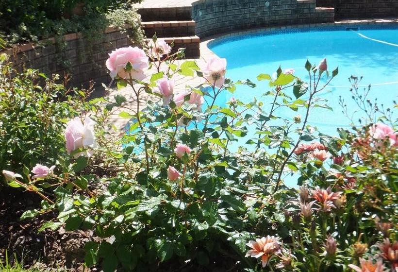 بنسيون Cape Valley Manor Guest House