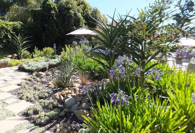 بنسيون Cape Valley Manor Guest House