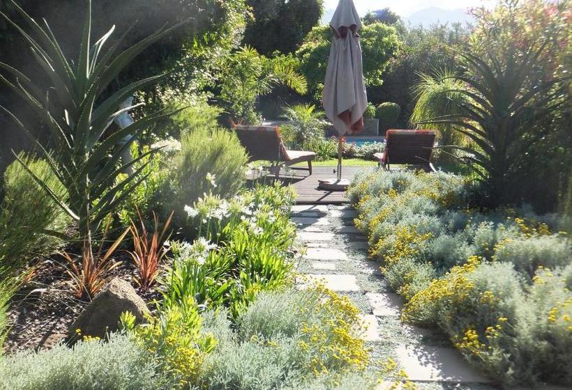 بنسيون Cape Valley Manor Guest House