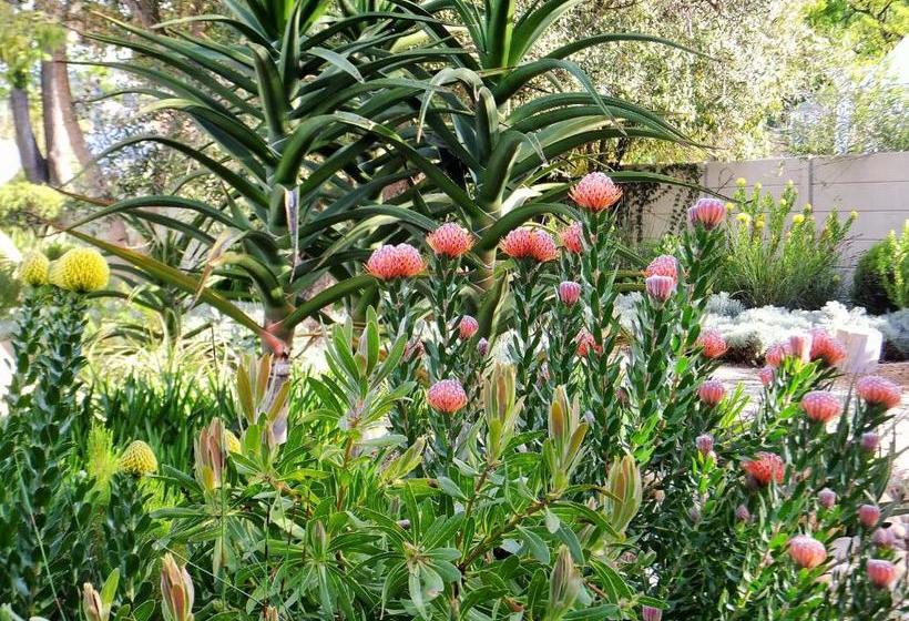 بنسيون Cape Valley Manor Guest House