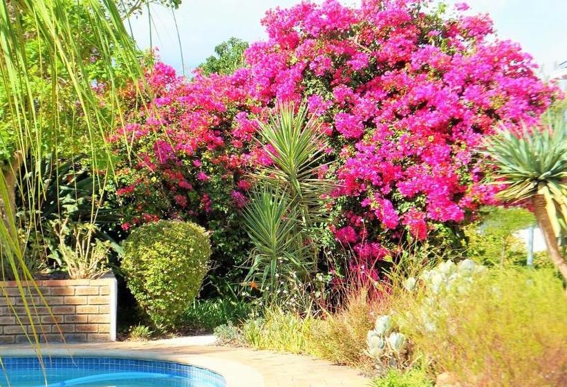 بنسيون Cape Valley Manor Guest House