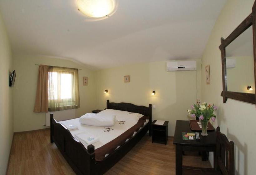 Пансион Casa Oana