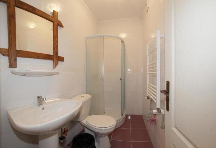 Пансион Casa Oana