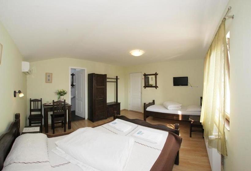 Пансион Casa Oana