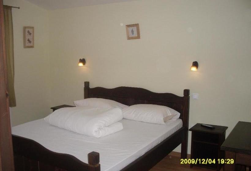 Пансион Casa Oana