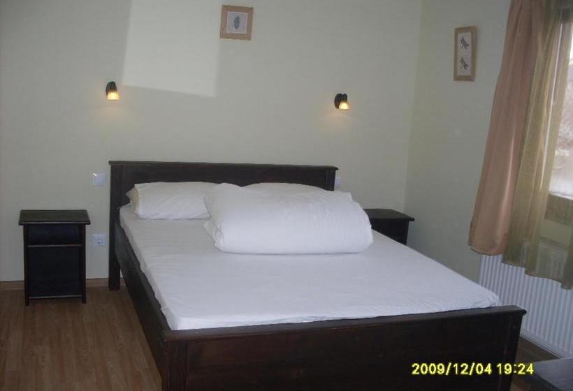 Пансион Casa Oana