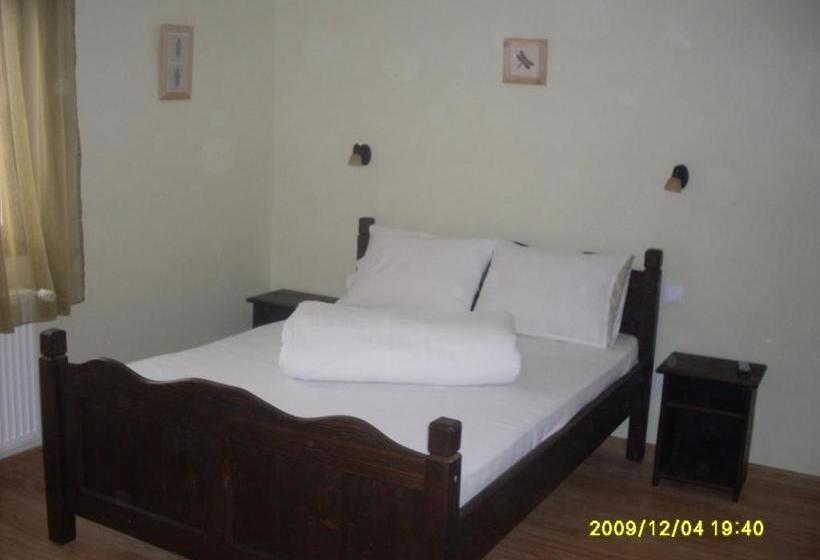 Пансион Casa Oana