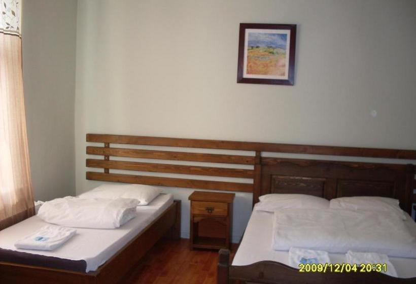 Пансион Casa Oana