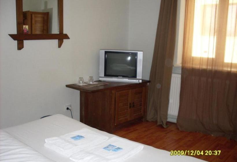 Пансион Casa Oana