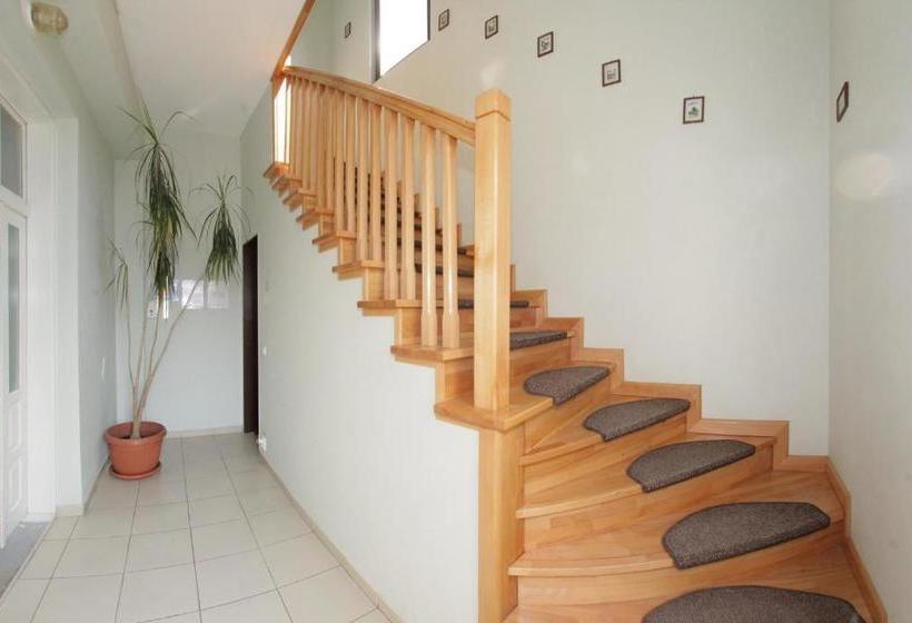 Пансион Casa Oana