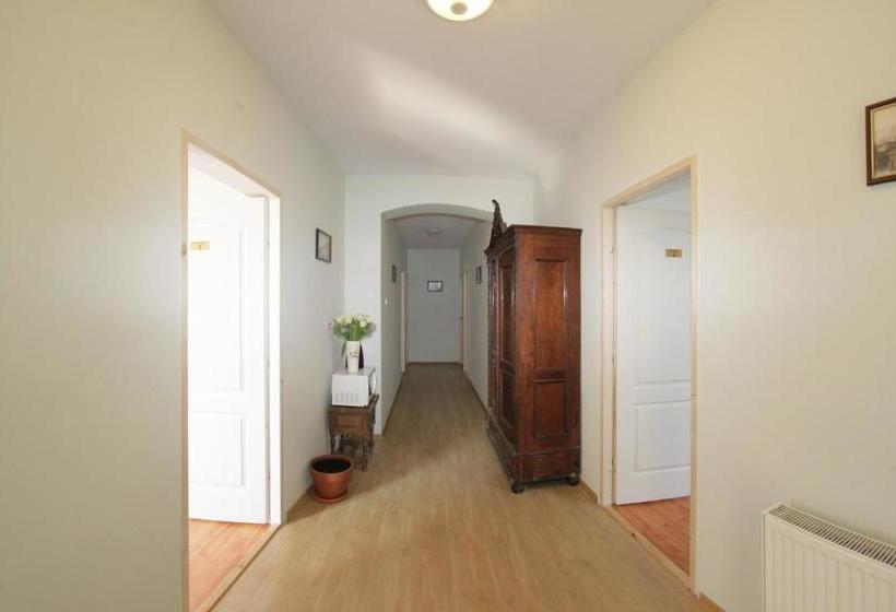 Пансион Casa Oana