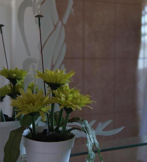 펜션 Hostal Tierra Noble