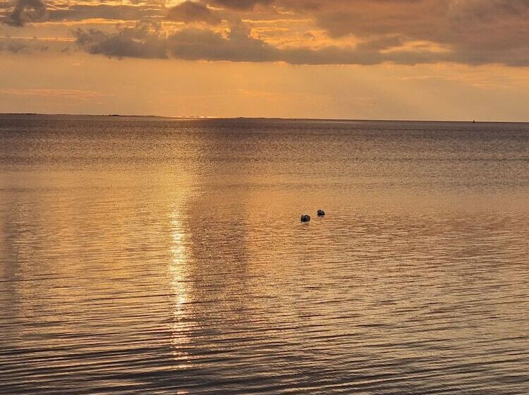 膳宿费 Epokgården