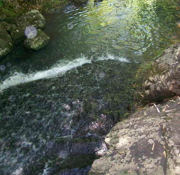 펜션 Espaço Holístico Chalés