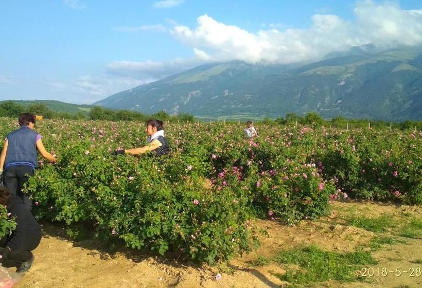 Пансион Mania Guest House