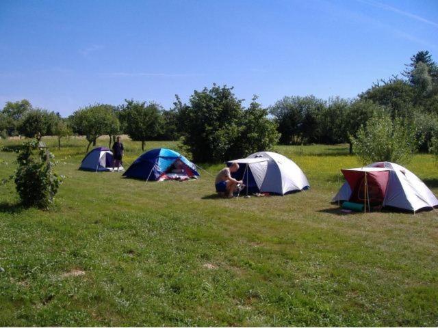 پانسیون Fazekas Vendégház és Kemping