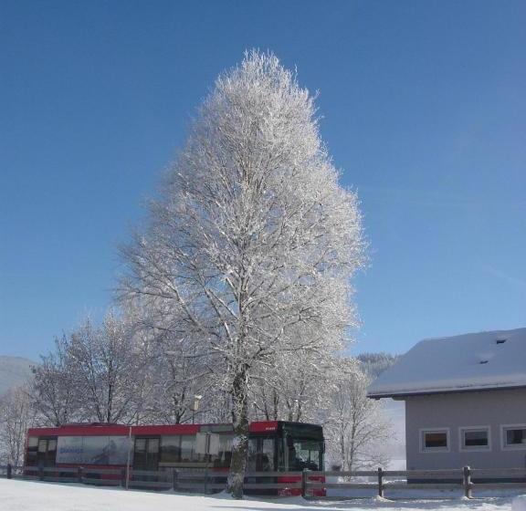 פנסיון Feriengut Fingerhof