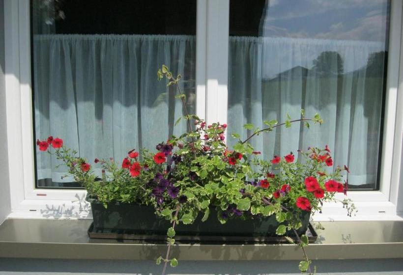 פנסיון Gasthof Hirschen