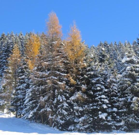 膳宿费 Gästehaus Pfister Maria