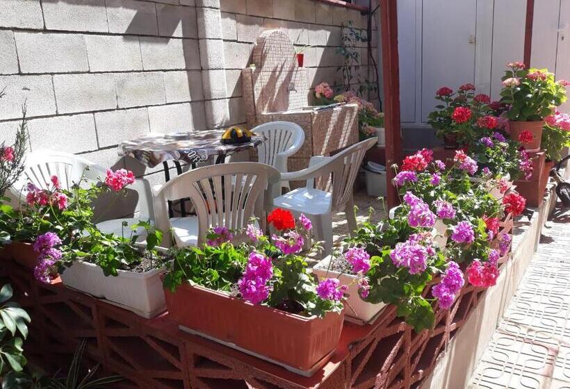 פנסיון Guest House Perla