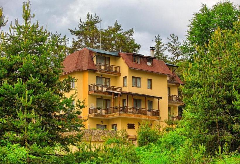 פנסיון Guest House Slunchev Cviat