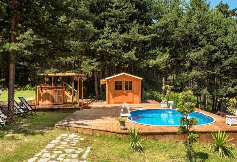 פנסיון Guest House Slunchev Cviat
