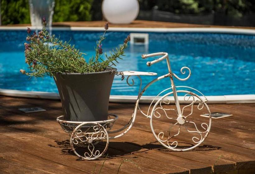 פנסיון Guest House Slunchev Cviat