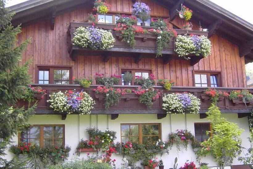 Пансион Happy Camp Hofherr