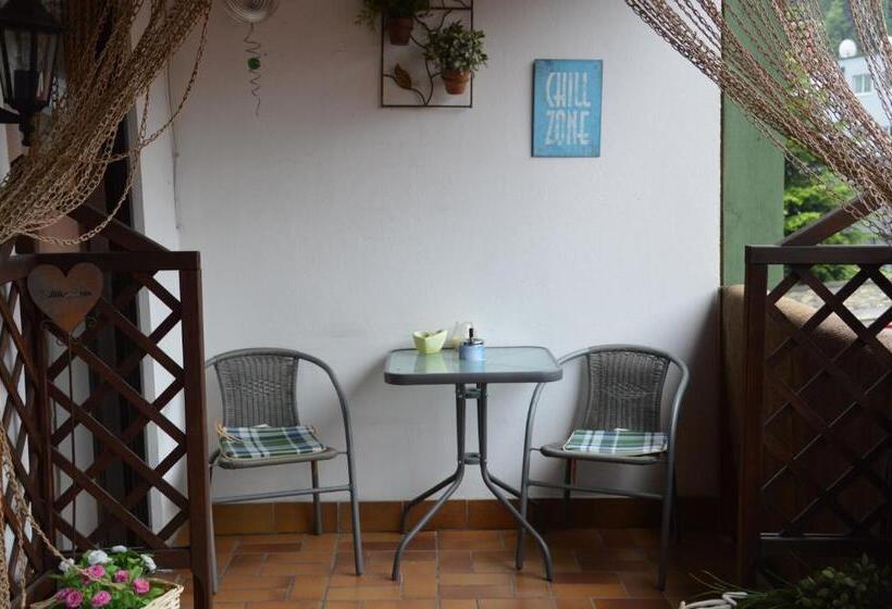 بنسيون Haus Frey