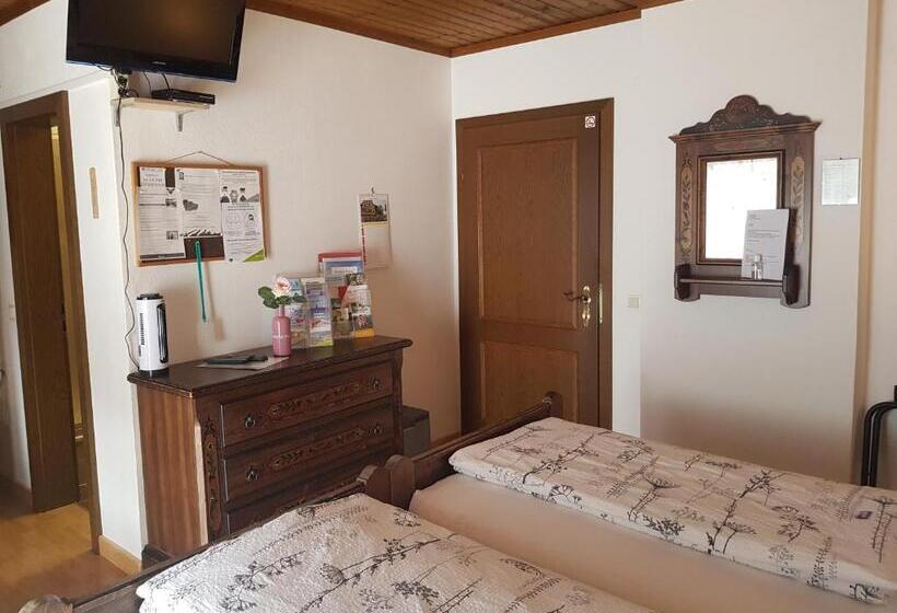 بنسيون Hiasl Stubn