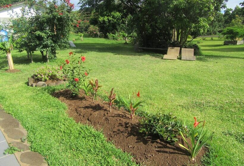 ペンション Hostal Pukao