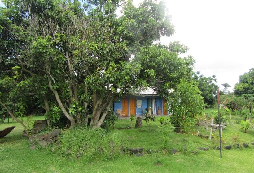 ペンション Hostal Pukao