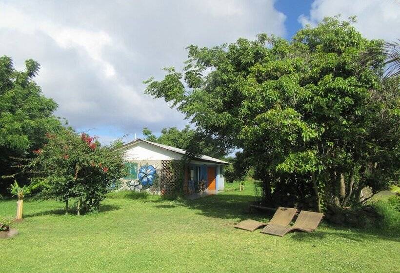 ペンション Hostal Pukao