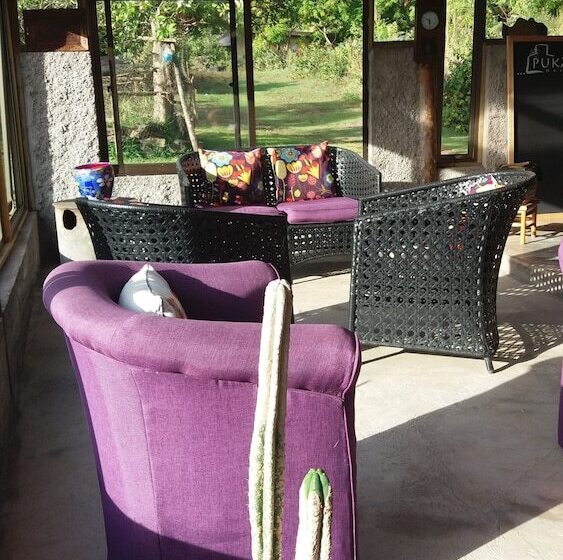 ペンション Hostal Pukao