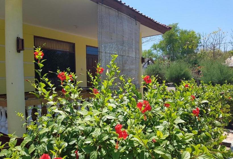 بنسيون Kalinka Inn