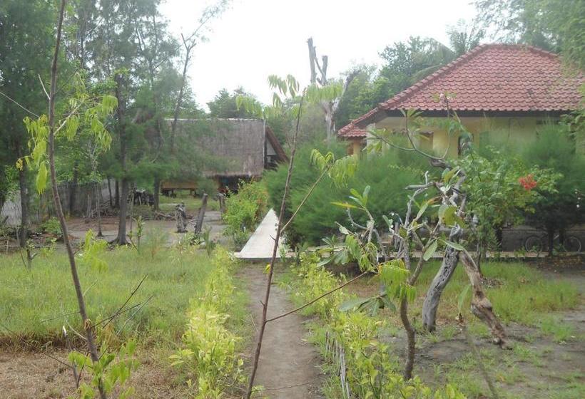 بنسيون Kalinka Inn