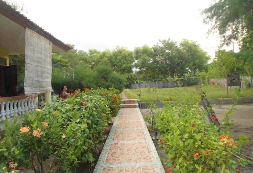 بنسيون Kalinka Inn