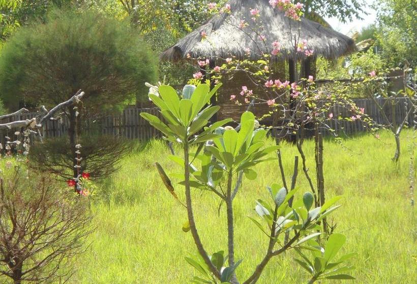 بنسيون Kalinka Inn