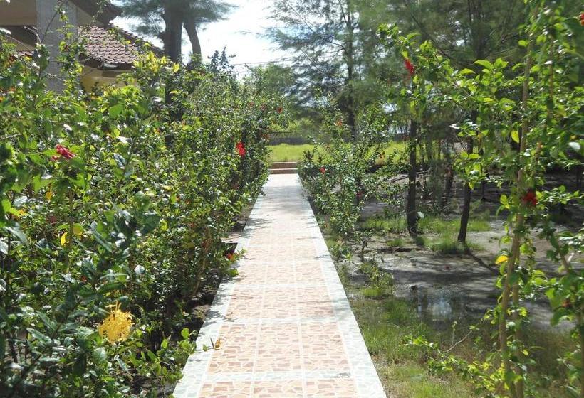 بنسيون Kalinka Inn