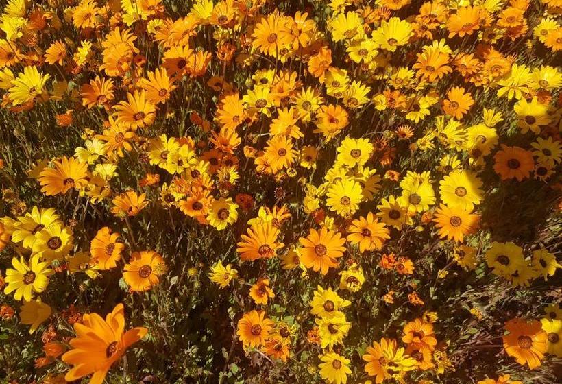 펜션 Kleineweide Boutique Estate