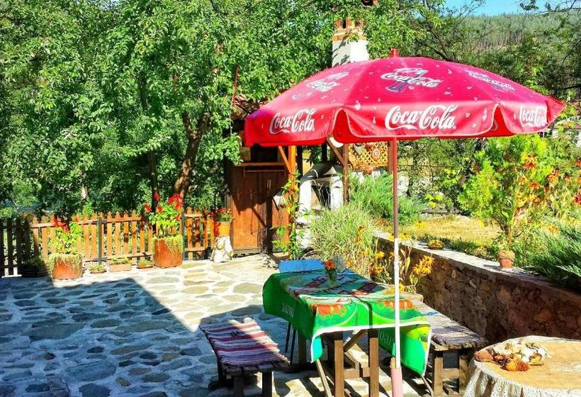 پانسیون Mechta Guest House